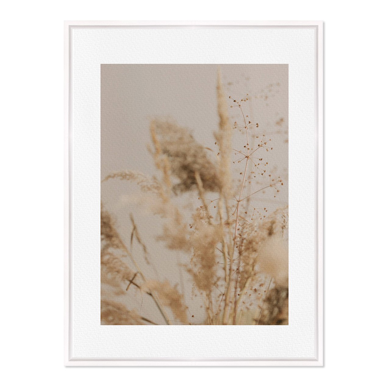 Quadro Em Tela Canvas Natureza Minimalista Plantas Secas