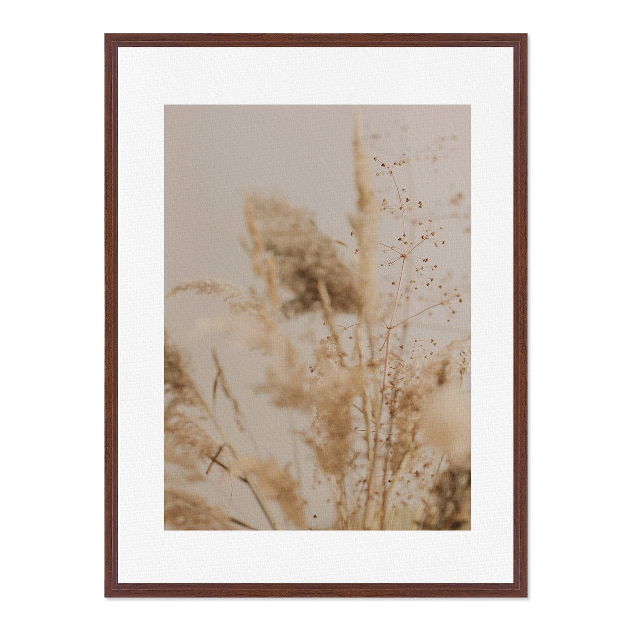 Quadro Em Tela Canvas Natureza Minimalista Plantas Secas