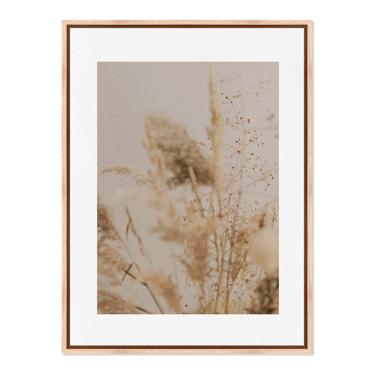 Quadro Em Tela Canvas Natureza Minimalista Plantas Secas