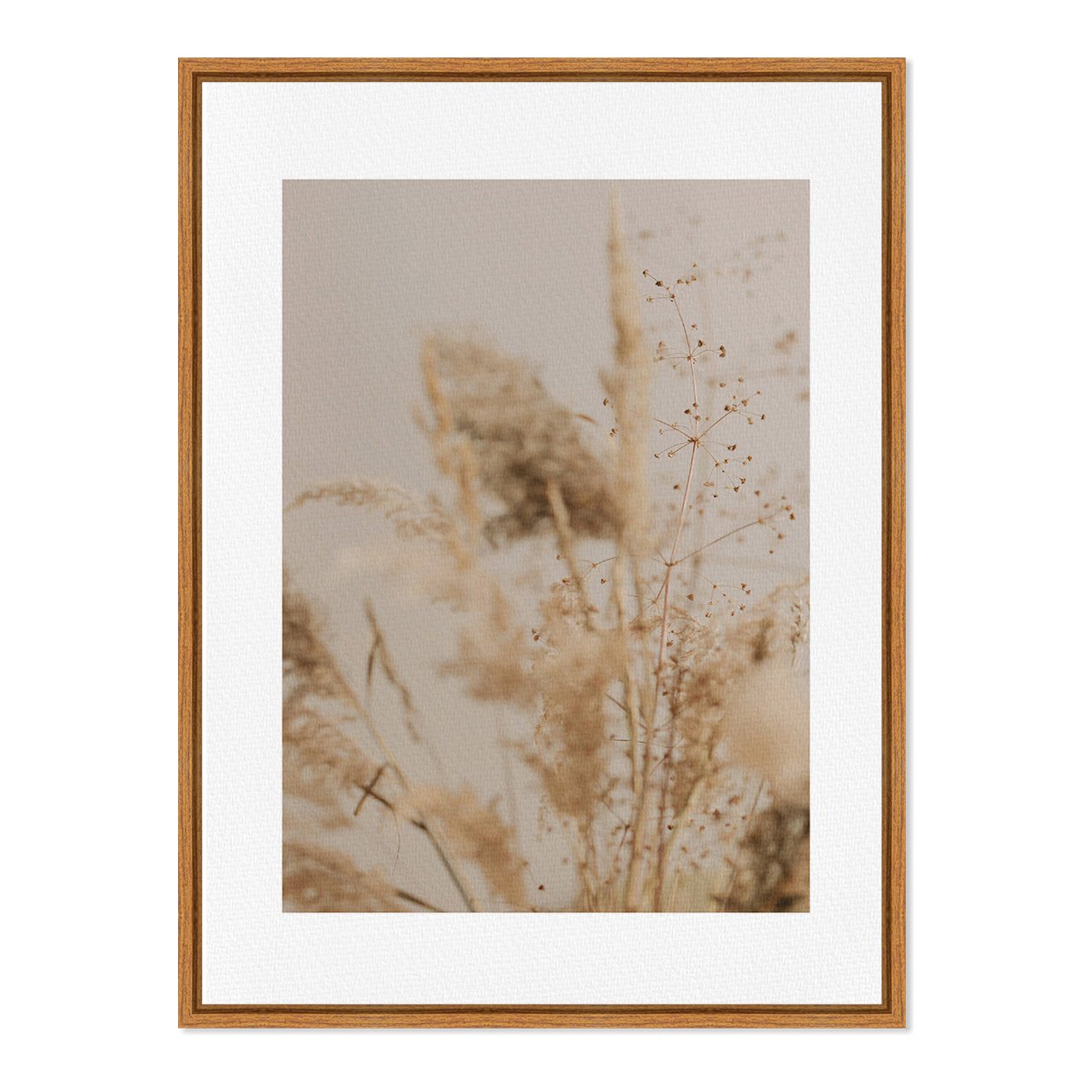 Quadro Em Tela Canvas Natureza Minimalista Plantas Secas