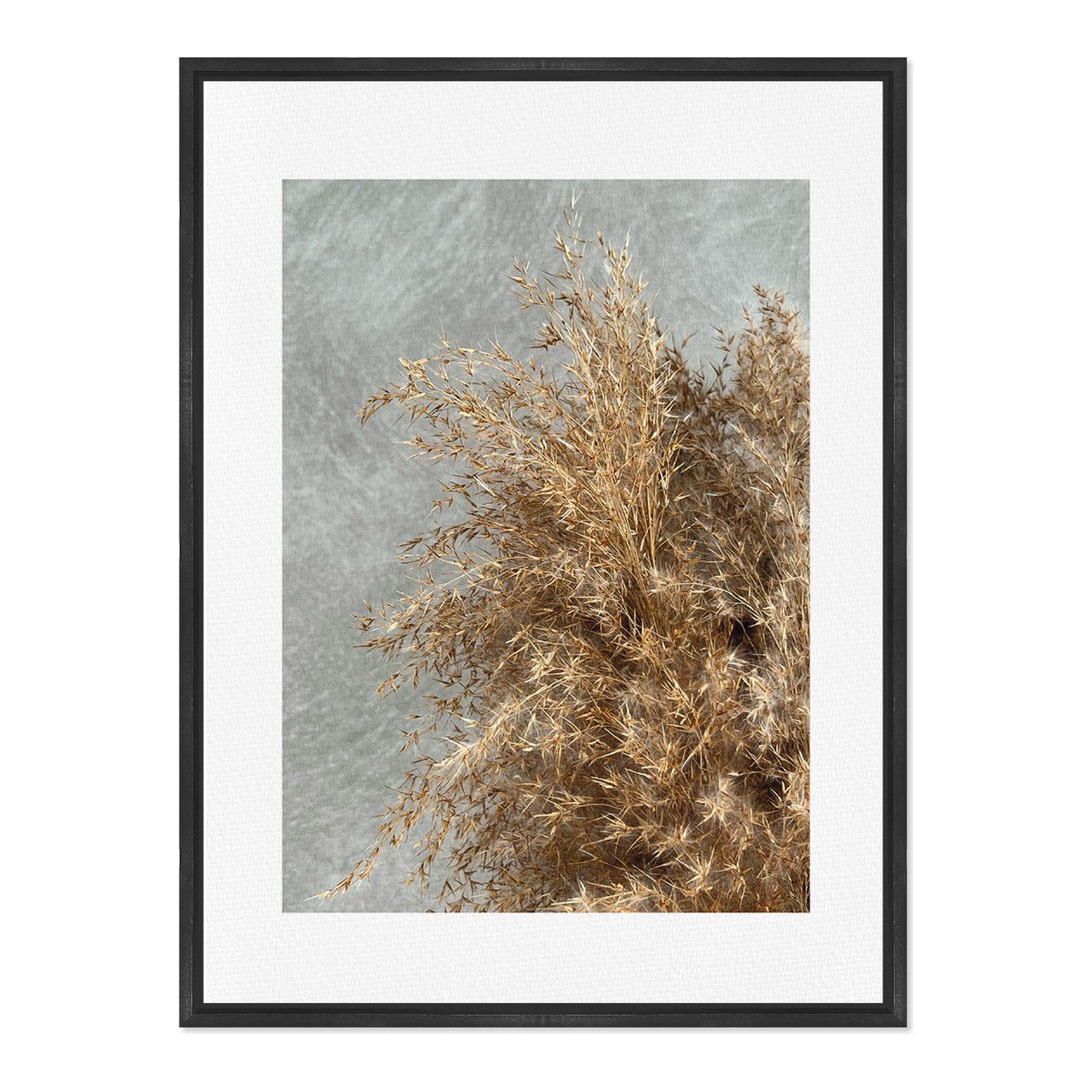 Quadro Em Tela Canvas Natureza Minimalista Plantas Secas