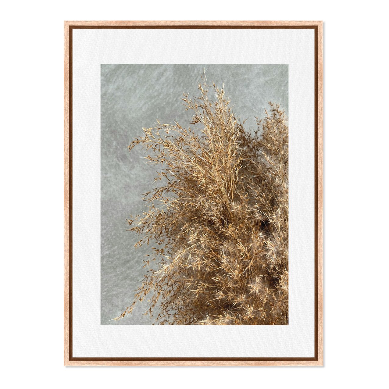 Quadro Em Tela Canvas Natureza Minimalista Plantas Secas