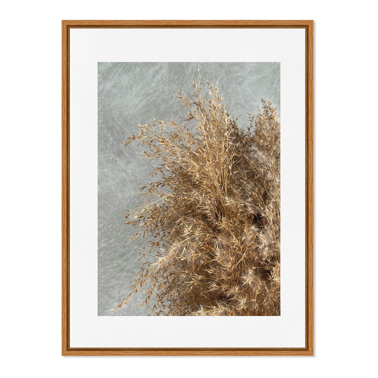Quadro Em Tela Canvas Natureza Minimalista Plantas Secas