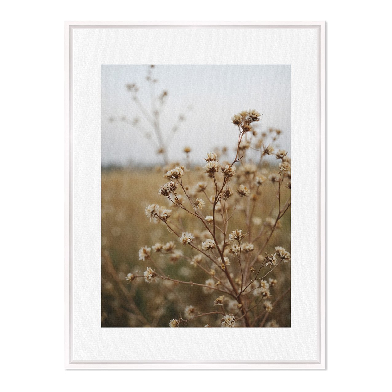 Quadro Em Tela Canvas Natureza Minimalista Plantas Secas