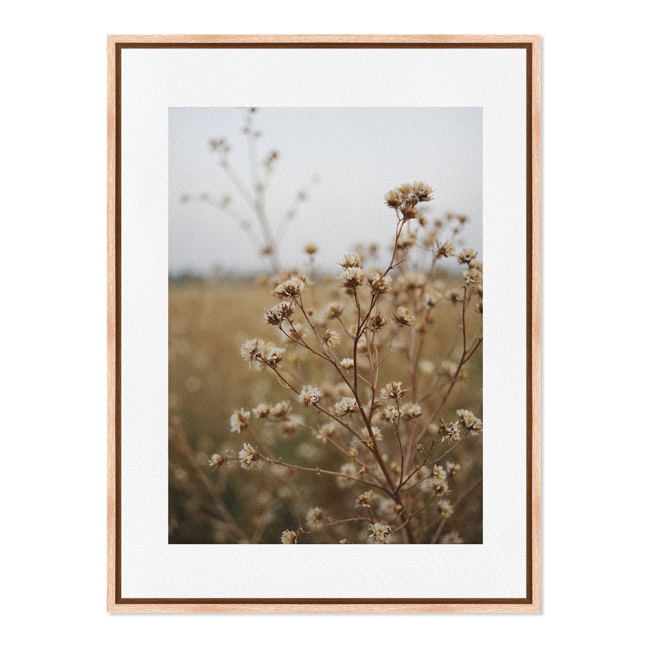 Quadro Em Tela Canvas Natureza Minimalista Plantas Secas