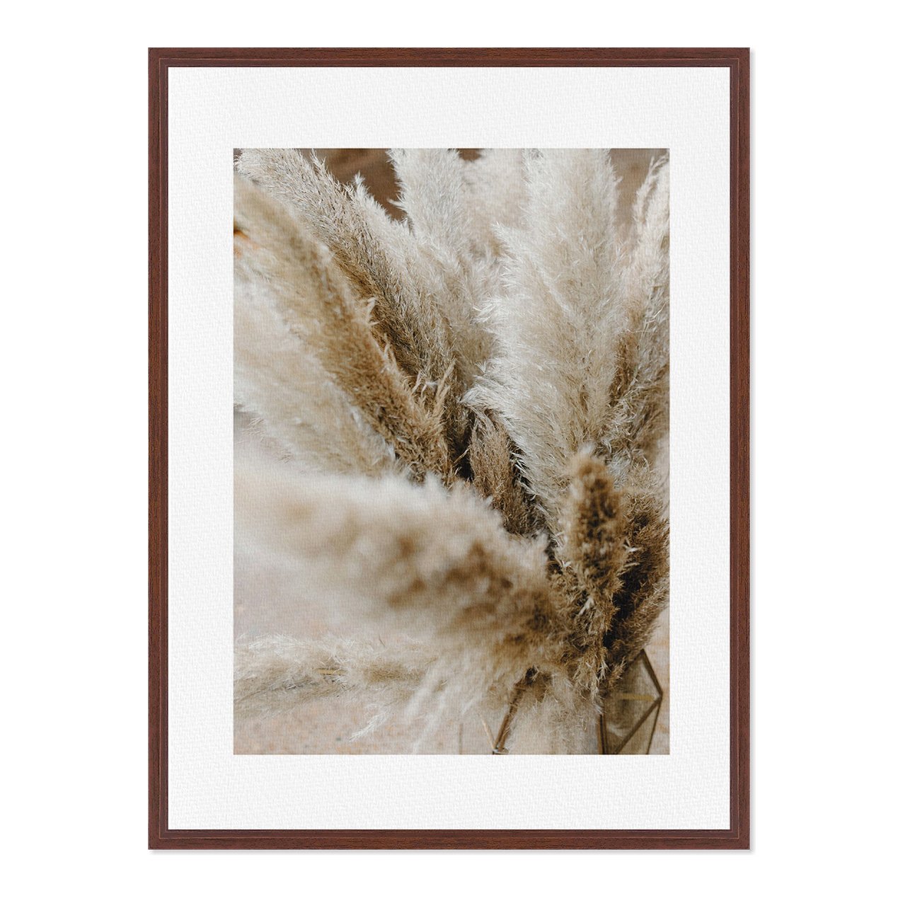 Quadro Em Tela Canvas Natureza Minimalista Plantas Secas