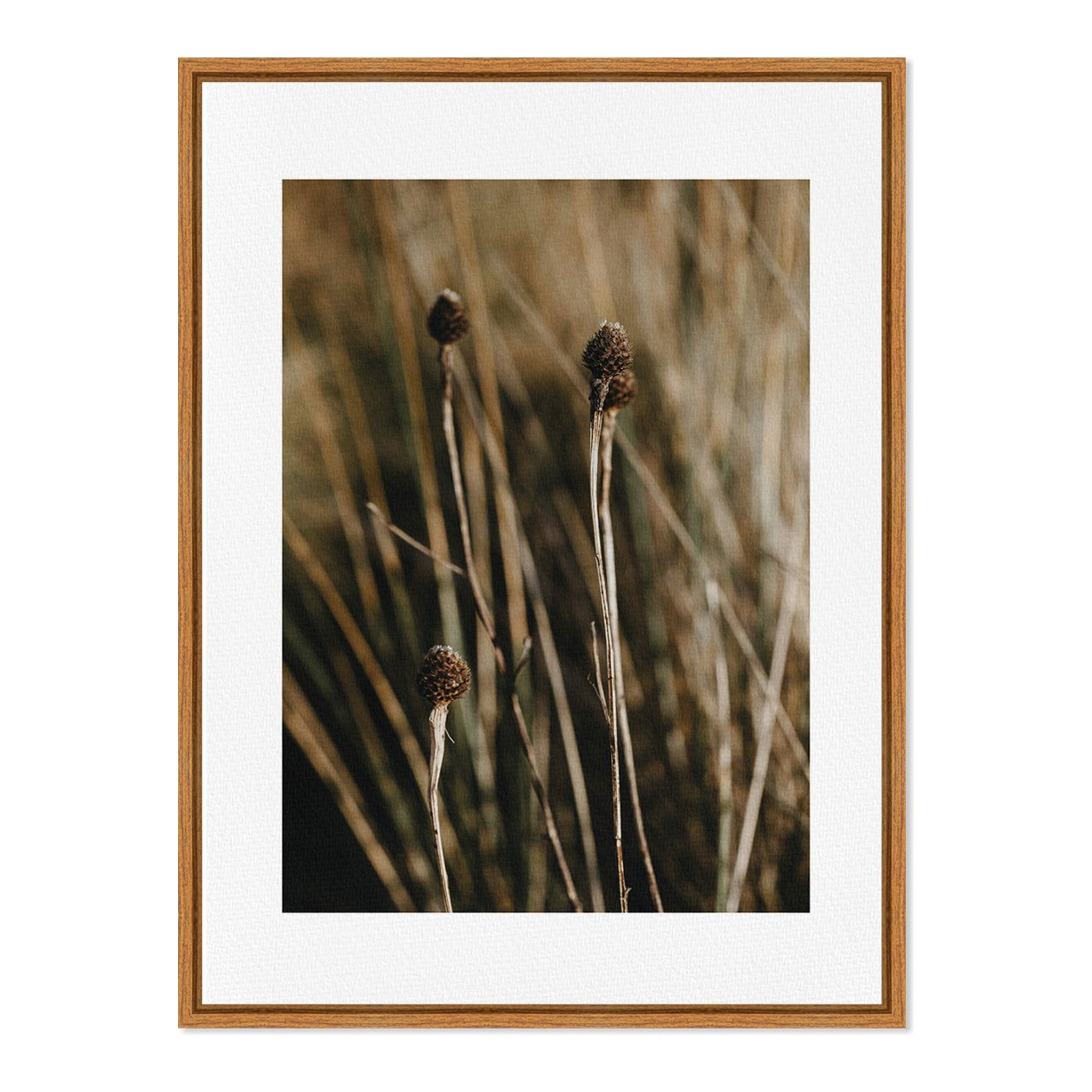 Quadro Em Tela Canvas Natureza Minimalista Plantas Secas