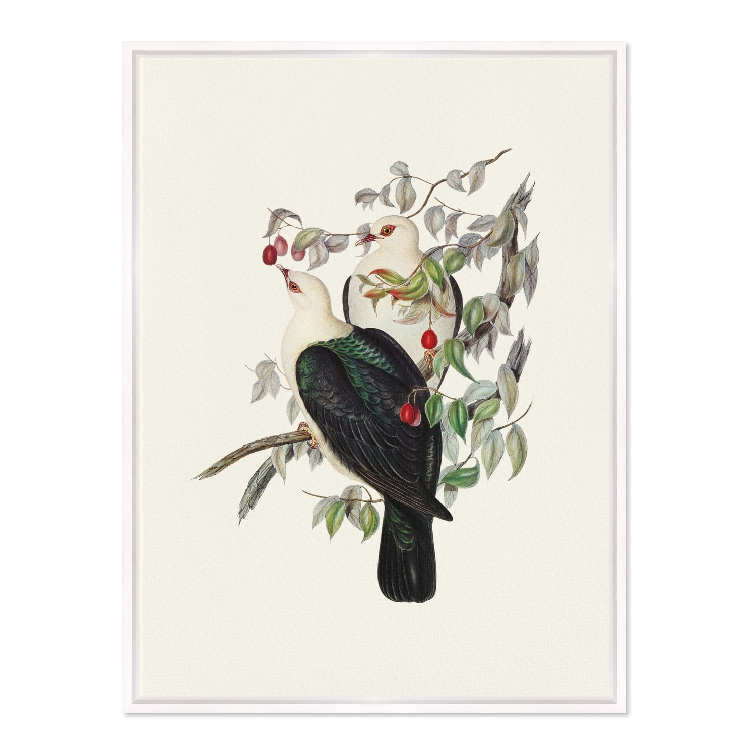 Quadro Em Tela Canvas Pombos De Fruta Vintage Farmhouse