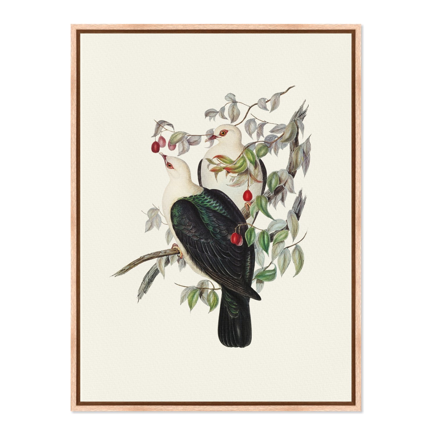 Quadro Em Tela Canvas Pombos De Fruta Vintage Farmhouse