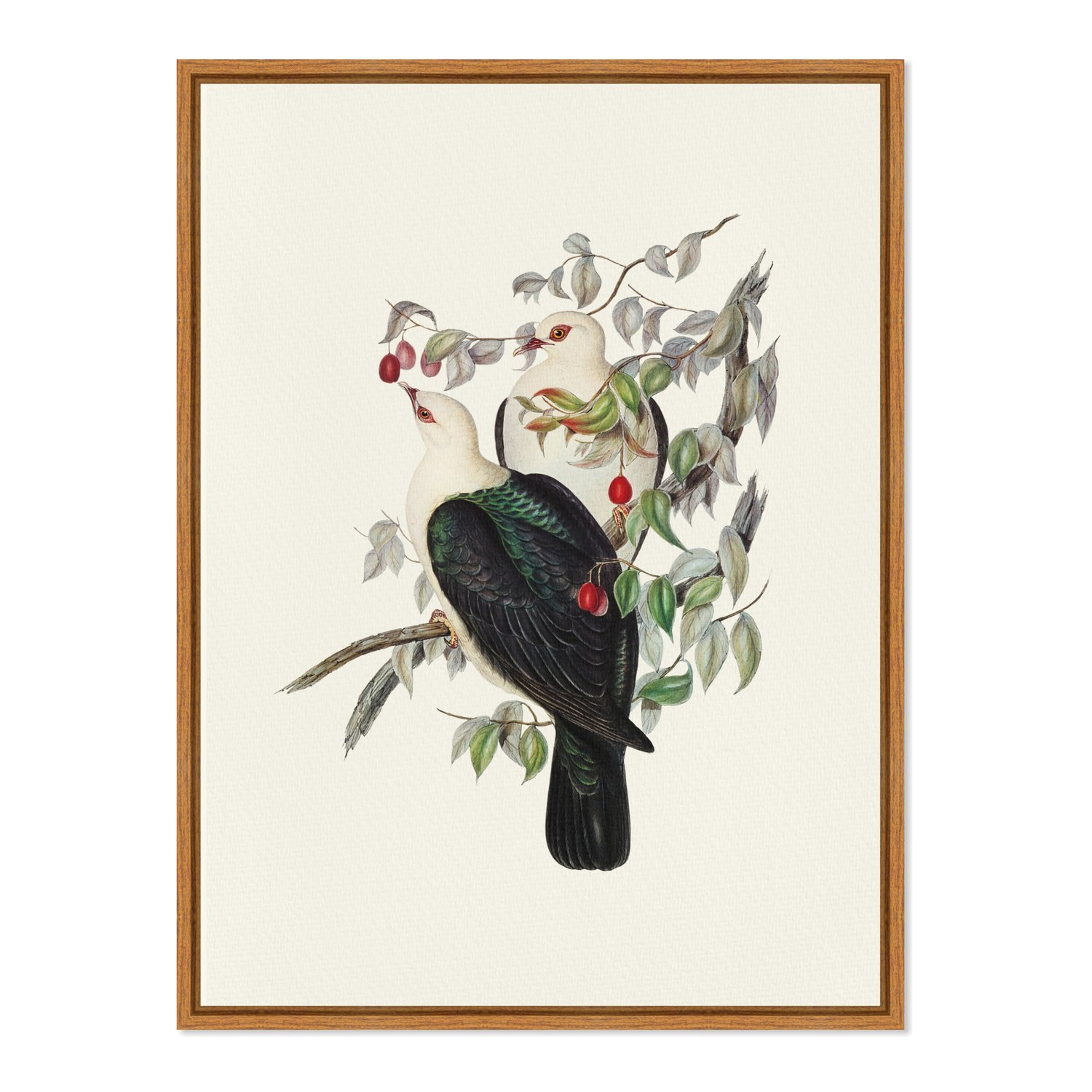 Quadro Em Tela Canvas Pombos De Fruta Vintage Farmhouse