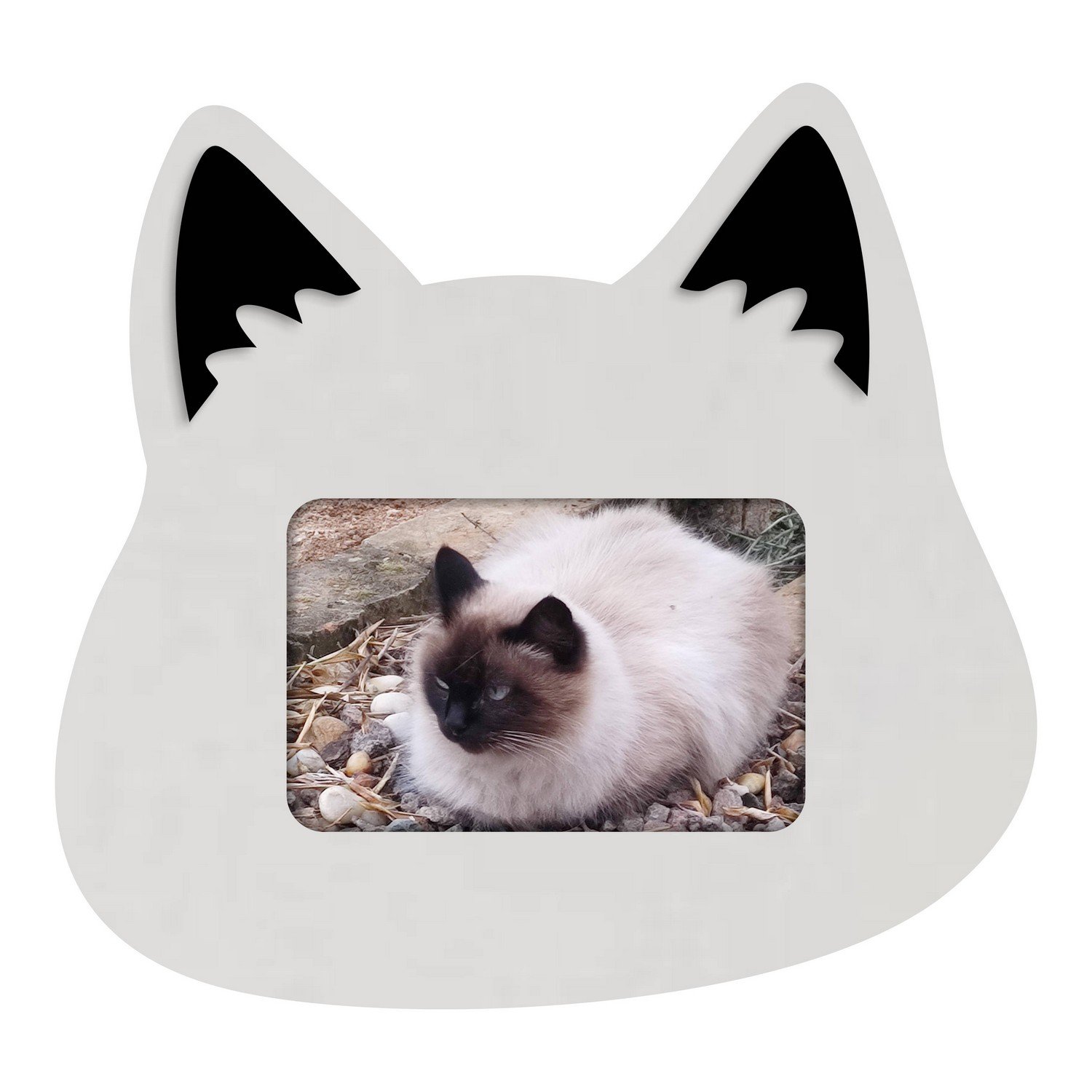 Porta-retrato de gato 4x6 personalizado nome de texto personalizado bonito  desenho animal gatos moldura de madeira para fotos 3x5 com tapete ou 4x6  sem tapete foto, exibição de fotos para parede ou