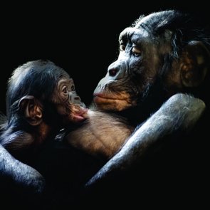 Placa Decorativa Mãe e Filhote Macaco Placa Decorativa Mãe e Filhote Macaco