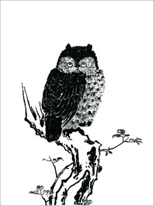 Placa Decorativa Gravura de Uma Coruja Placa Decorativa Gravura de Uma Coruja