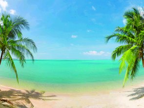 Placa Decorativa Praia com Palmeiras Placa Decorativa Praia com Palmeiras