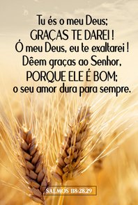 Placa Decorativa Bíblico Salmos 118:28,29 Placa Decorativa Bíblico Salmos 118:28,29