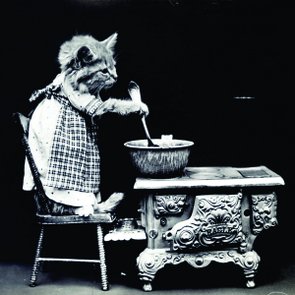 Placa Decorativa Gato Cozinhando Placa Decorativa Gato Cozinhando