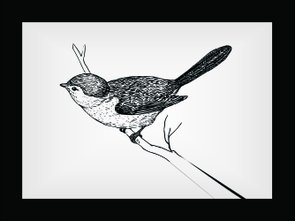 Placa Decorativa Desenho de Pássaro Placa Decorativa Desenho de Pássaro