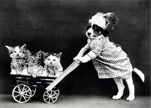 Placa Decorativa Cachorrinha com Gatinhos Placa Decorativa Cachorrinha com Gatinhos