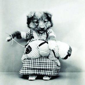 Placa Decorativa Cachorro Costurando Placa Decorativa Cachorro Costurando