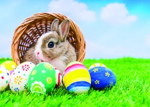 Placa Decorativa Coelho com Ovos Coloridos Placa Decorativa Coelho com Ovos Coloridos