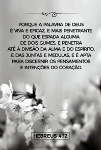 Placa Decorativa Versículo Bíblico Hebreus 4:12 Placa Decorativa Versículo Bíblico Hebreus 4:12