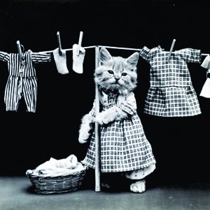 Placa Decorativa Gato Colocando a Roupa Para Secar Placa Decorativa Gato Colocando a Roupa Para Secar