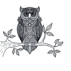 Placa Decorativa Desenho da Coruja Preto e Branco Placa Decorativa Desenho da Coruja Preto e Branco