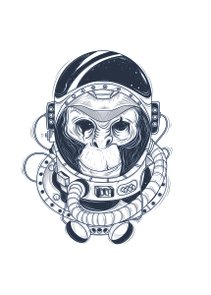 Placa Decorativa Macaco Astronauta Placa Decorativa Macaco Astronauta