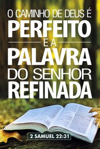 Placa Decorativa Versículo Bíblico 2 Samuel 22:31 Placa Decorativa Versículo Bíblico 2 Samuel 22:31