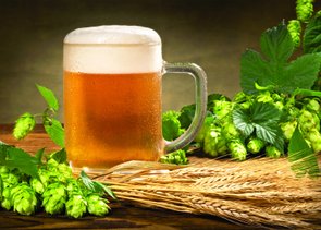 Placa Decorativa Caneco de Cerveja Placa Decorativa Caneco de Cerveja