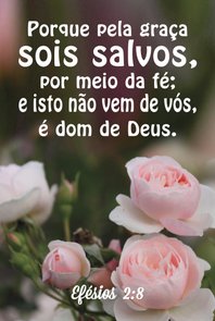 Placa Decorativa Versículo Bíblico Efésios 2:8 Placa Decorativa Versículo Bíblico Efésios 2:8