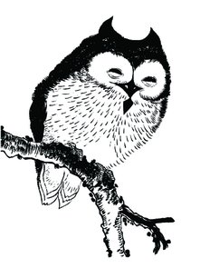 Placa Decorativa Desenho de Uma Coruja Placa Decorativa Desenho de Uma Coruja