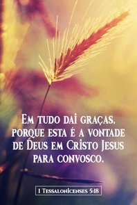 Placa Decorativa Versículo Bíblico 1 Tessalonicenses 5:18 Placa Decorativa Versículo Bíblico 1 Tessalonicenses 5:18