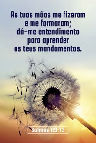 Placa Decorativa Versículo Bíblico Salmos 119:73 Placa Decorativa Versículo Bíblico Salmos 119:73
