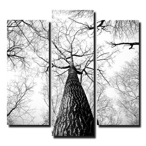 Kit de Quadros Decorativos Árvores no Outono Preto e Branco Kit de Quadros Decorativos Árvores no Outono Preto e Branco