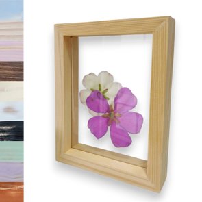 Moldura Dupla Face em Madeira de Pinus com Duplo PS Cristal Transparente - 1,5x4,5 Moldura Dupla Face em Madeira de Pinus com Duplo PS Cristal Transparente - 1,5x4,5