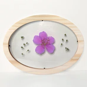 Moldura Oval Sanduiche em Madeira de Pinus Natural com Duplo PS Cristal Transparente