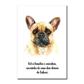 Placa Decorativa Cachorro Buldog Francês Características da Raça Placa Decorativa Cachorro Buldog Francês Características da Raça