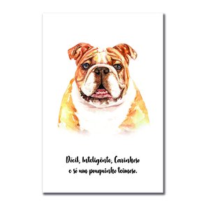 Placa Decorativa Cachorro Bulldog Inglês Características da Raça Placa Decorativa Cachorro Bulldog Inglês Características da Raça