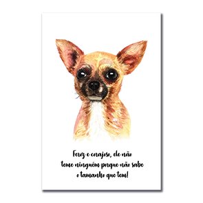 Placa Decorativa Cachorro Chihuahua Características da Raça Placa Decorativa Cachorro Chihuahua Características da Raça