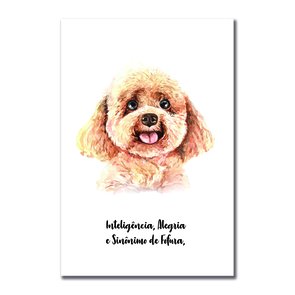 Placa Decorativa Cachorro Poodle Características da Raça Placa Decorativa Cachorro Poodle Características da Raça