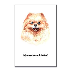 Placa Decorativa Cachorro Spitz Alemão ou Lulu Da Pomerânia Caracaterísticas da Raça Placa Decorativa Cachorro Spitz Alemão ou Lulu Da Pomerânia Caracaterísticas da Raça