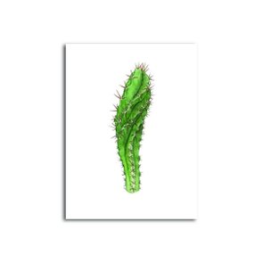 Placa Decorativa Cactus com fundo Branco Placa Decorativa Cactus com fundo Branco