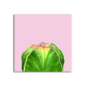 Placa Decorativa Cactus com Fundo Rosa Placa Decorativa Cactus com Fundo Rosa