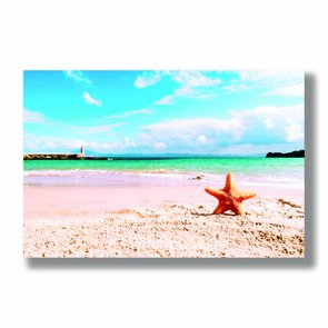 Placa Decorativa Coleção Mar Estrela Do Mar Placa Decorativa Coleção Mar Estrela Do Mar