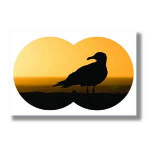 Placa Decorativa Coleção Mar Gaivota Placa Decorativa Coleção Mar Gaivota