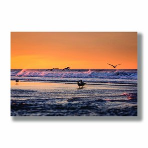 Placa Decorativa Coleção Mar Pássaros A Beira Mar Placa Decorativa Coleção Mar Pássaros A Beira Mar