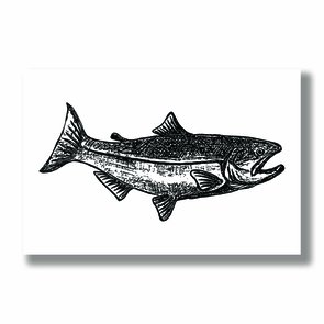 Placa Decorativa Coleção Mar Peixe Placa Decorativa Coleção Mar Peixe