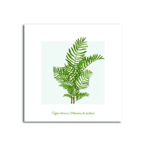 Placa Decorativa Dypsis Lutescens (Palmeira de Jardim) Placa Decorativa Dypsis Lutescens (Palmeira de Jardim)