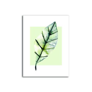 Placa Decorativa Folha com Fundo Branco e Verde Placa Decorativa Folha com Fundo Branco e Verde